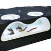Benthic Organisms Underground Slopes Caves Double Hole Aquariums Aquariums Scenic Hiding Places Cave Aquariums Decorative
