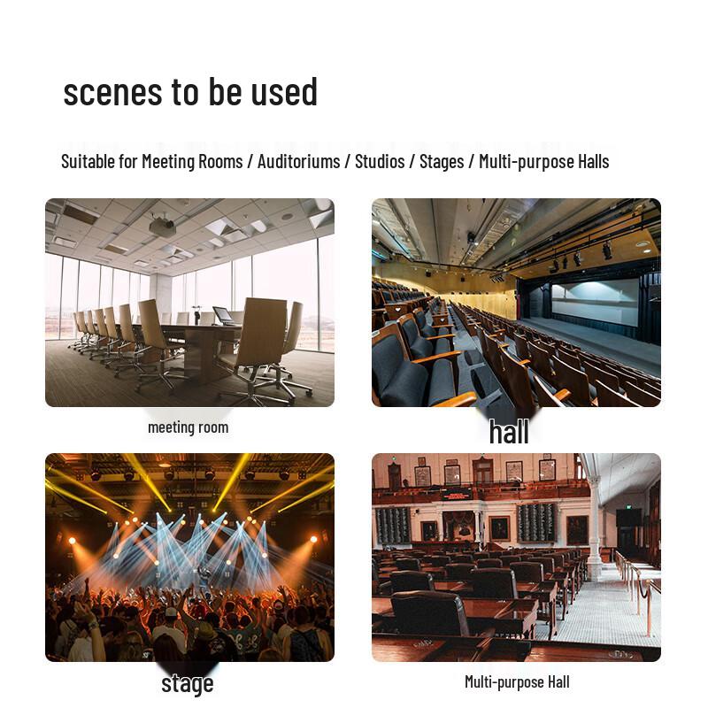 Runpu Professional Dual 10-inch Passive Conference Speaker (CN version)