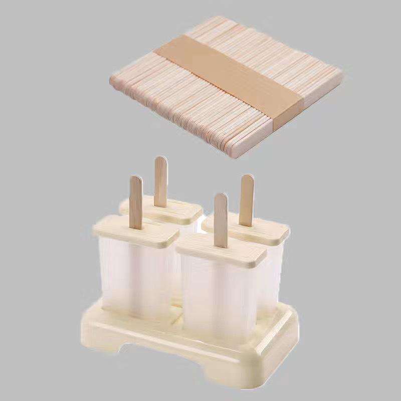 Homemade Popsicle & Ice Cream Mold for Sorbet and Ice Cube Creation