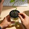 Germination Cover Plant Cultivation Trays Plastic Plant Branch Support  Outdoor Potted Plants
