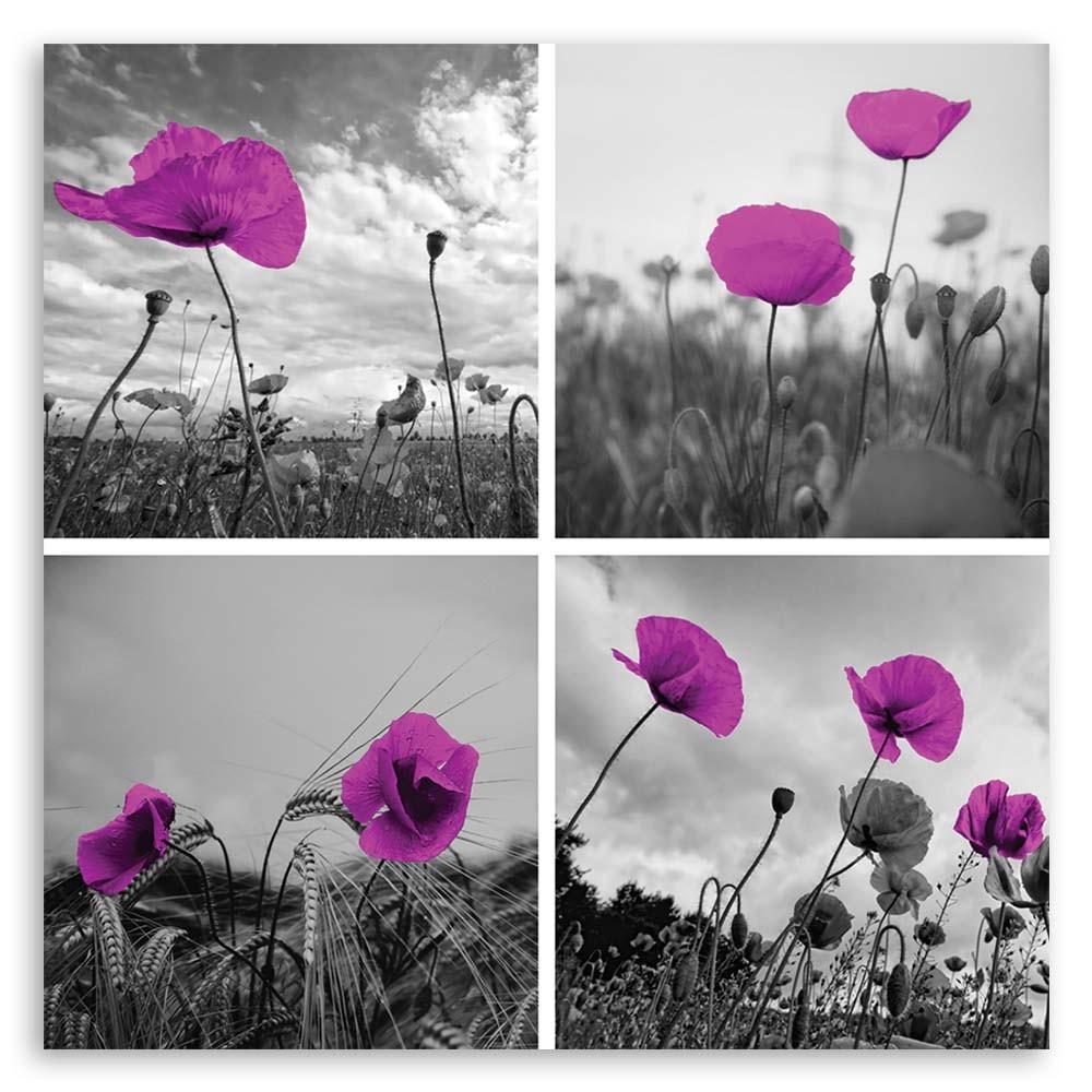 Canvas Print, Purple Poppies