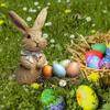Colorful Rabbit and Eggs Yard Sign for Easters and Spring Celebration Weather Resistant Garden Insert Animal Stake