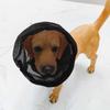 Breathable Pet Protective Veil Mesh Pet Facial Protection Mask  Suitable for Hiking Trips