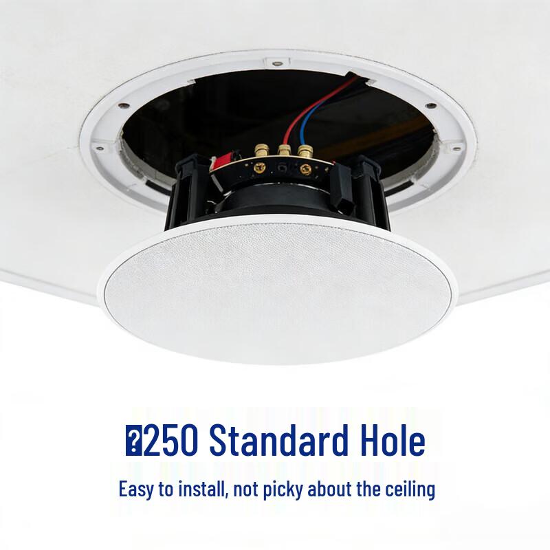 Hongshidao HSD-LTH811 Constant Impedance Ceiling Speaker CN Plug (adapter Included) (CN Version)
