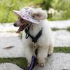 Small Pet Dog Cat Kitten Striped Princess Mesh Strap Hat Cap Sunbonnet