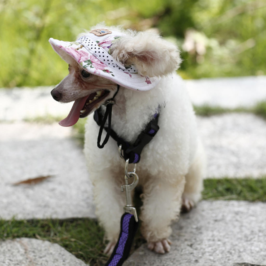 Small Pet Dog Cat Kitten Striped Princess Mesh Strap Hat Cap Sunbonnet