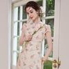 Bailuyu Chinese Style Butterfly Print Stand Collar Long Dress