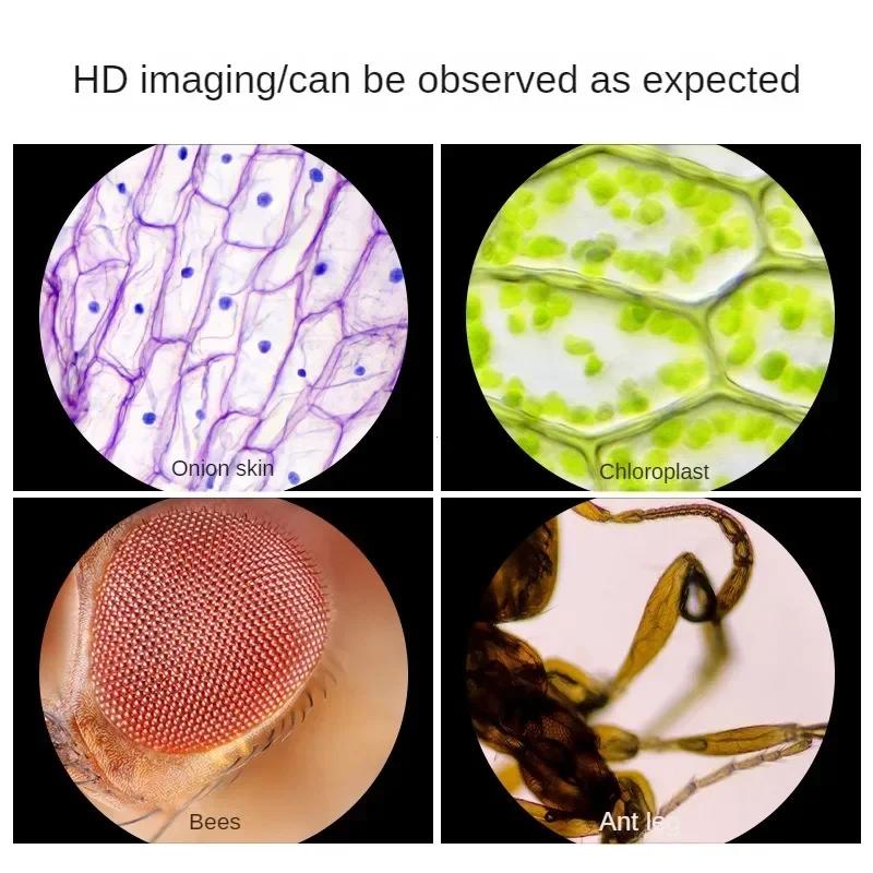 Handheld Microscope Package Lab LED Light 80X to 160X Home School Biological Science Instructive Playthings Designed For Children Birth Date Present