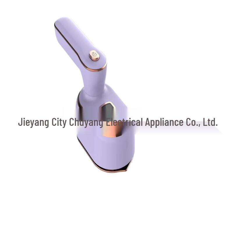 ZISIZ Foldable Dry & Wet Garment Steamer