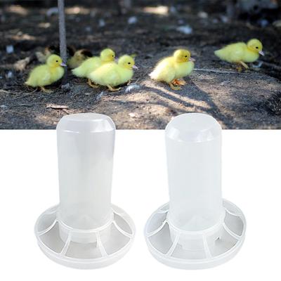 Pájaros – Alimentación y suministros de riego