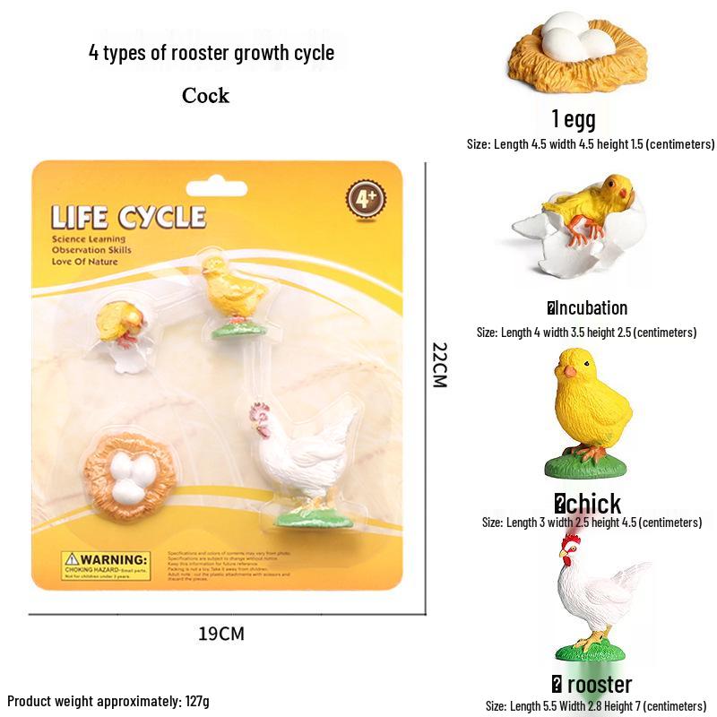 Mini Animal Growth Cycle Toys: Butterfly, Rooster, Ant, Frog, Sea Turtle, Dragonfly