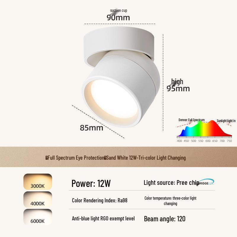 Adjustable Rotatable Surface-Mounted Downlight for Living Room, Aisle, Entrance, Bedroom - No Main Light Required