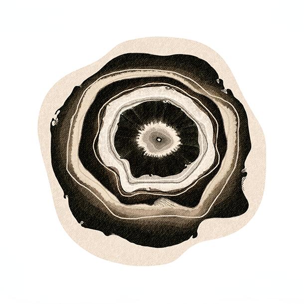 

French Style Living Room Decoration Flower Carpet Irregular Shape Rugs for Bedroom Vintage Art Lounge Rug Home Thicken Floor Mat 80x80CM