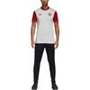 Adidas FC Bayern Munich Icon Jersey Sport Short Sleeve Men Tops White CV8100