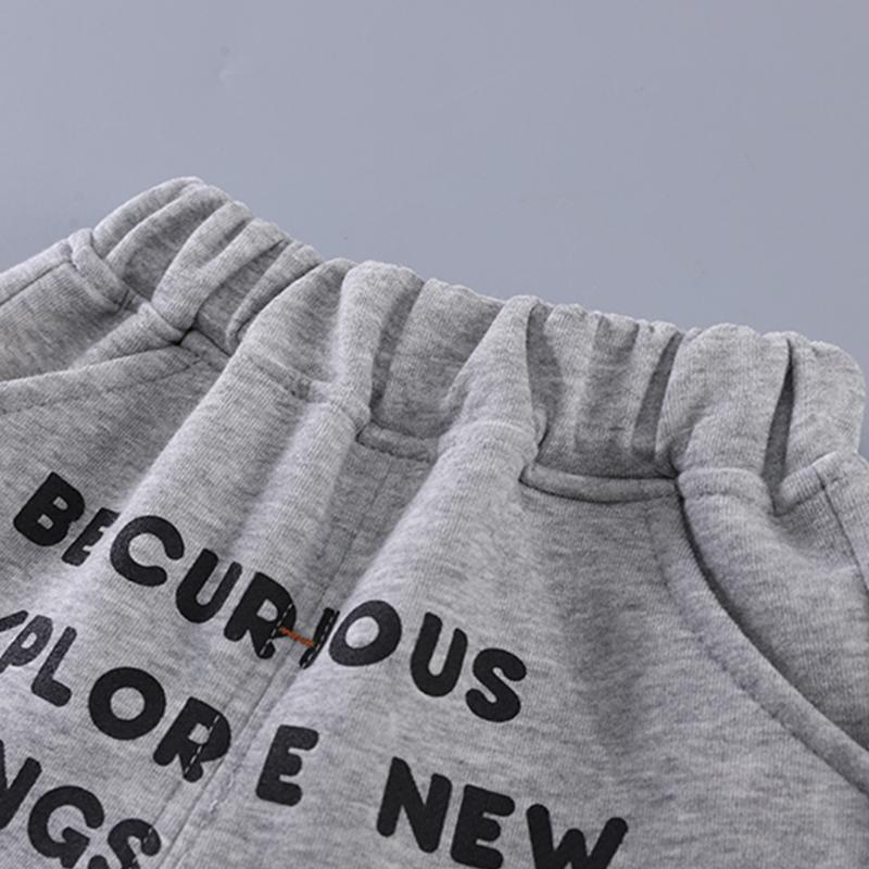 0-5 Years Old Boys' Long Sleeved Suit Children's Cartoon Lion Hoodie+casual Pants Two-piece Set Cute And Comfortable Clothes For Boys' Babies