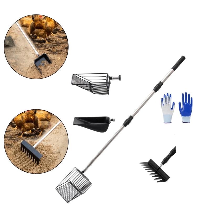 Professional Poultry Waste Shovel Corrosion Resistant Stainless Steel Cleaning Tool For Chicken Coops Maintenances