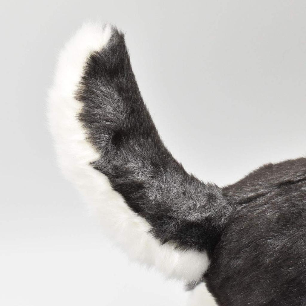 BH7512 HANSA Siberian Husky Puppy, Size 43