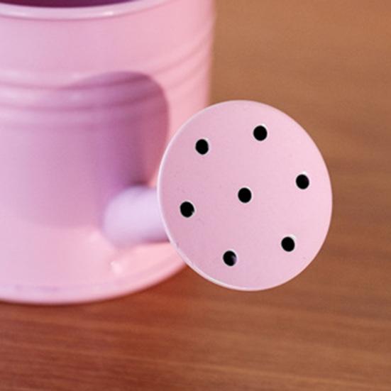 Metallgießkanne mit Brausekopf Langer Auslauf Gießkanne Kleine Gießkanne Indoor-Gartengerät für Zuhause Balkon Terrasse Büro Topfpflanzen