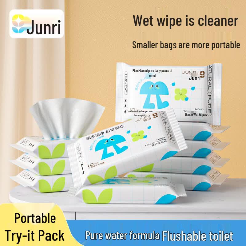 Travel Wet Toilet Wipes