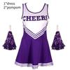 Fancy Dress Cheerleader Outfit Uniform Cosplay Costume With Pom Poms High School