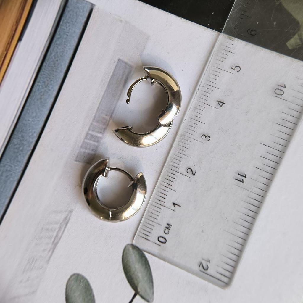 Silver Earrings Without Stones (2191810)