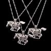 Luminous Pegasus Necklace Clavicle and Sweater Chain - European and American Jewelry Trend