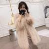 New Fashion Imitation Fur Coat Women's Versatile Knitted Spice Girl Fur Coat Women's Foreign Style Medium and Long Long Hair Coat