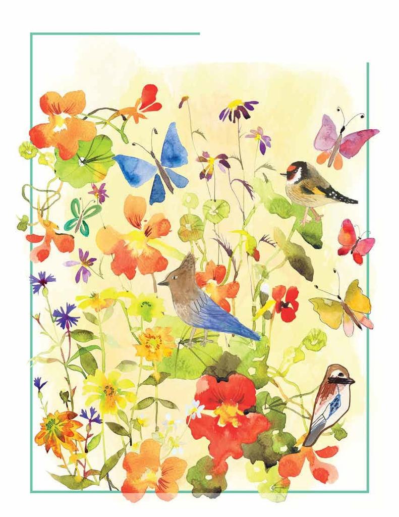 Michelle Design Works Rakka Bird & Butterfly MD-TOW371 Kitchen Cloths, Tea Towels, Multi-Purpose Cloths, Glassware Polishing Cloths, Tablecloths,