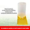 Quail Waterer Large Capacity Clear No Waste Quail Feeder Poultry Water Cup Feeding Container for Ducks Hens Chicks Turkey Bunny