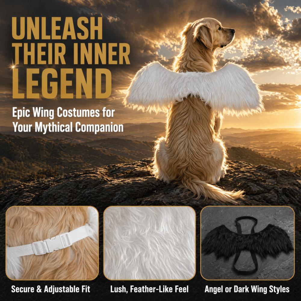 Back Worn Dog Costume Wings Lightweight PET Wings Premium Dog Wing Clothing  Halloween