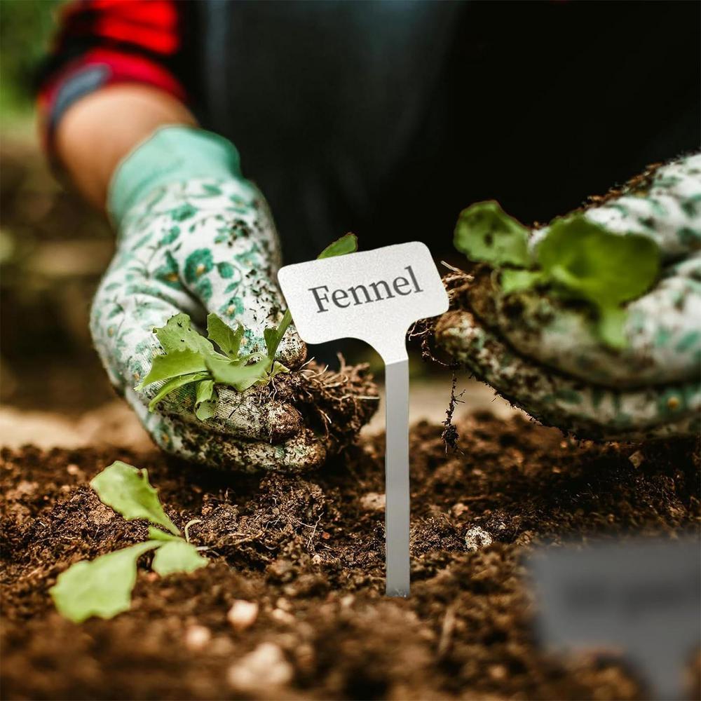 Pflanzenetiketten Edelstahl Sämlingsetiketten 10 Stück Wiederverwendbare Edelstahl-Pflanzenetiketten Für Homesteading Gartenarbeit Draußen