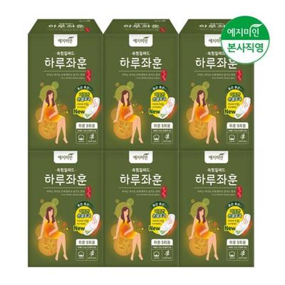 Yejimiin Täglich Beifuß Wärmepflaster 5 Packungen × 6 Pflaster
