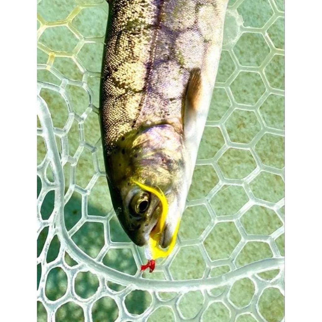 Used Managed fishing, lake Completed flies (marabou, MSC, zonker) 27 nymphs and fly case included