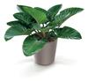 URBI DURO250 low round flowerpot | White