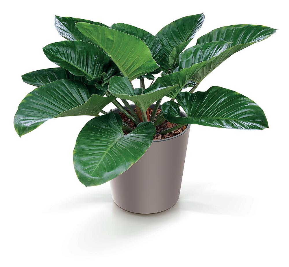 URBI DURO250 low round flowerpot | White