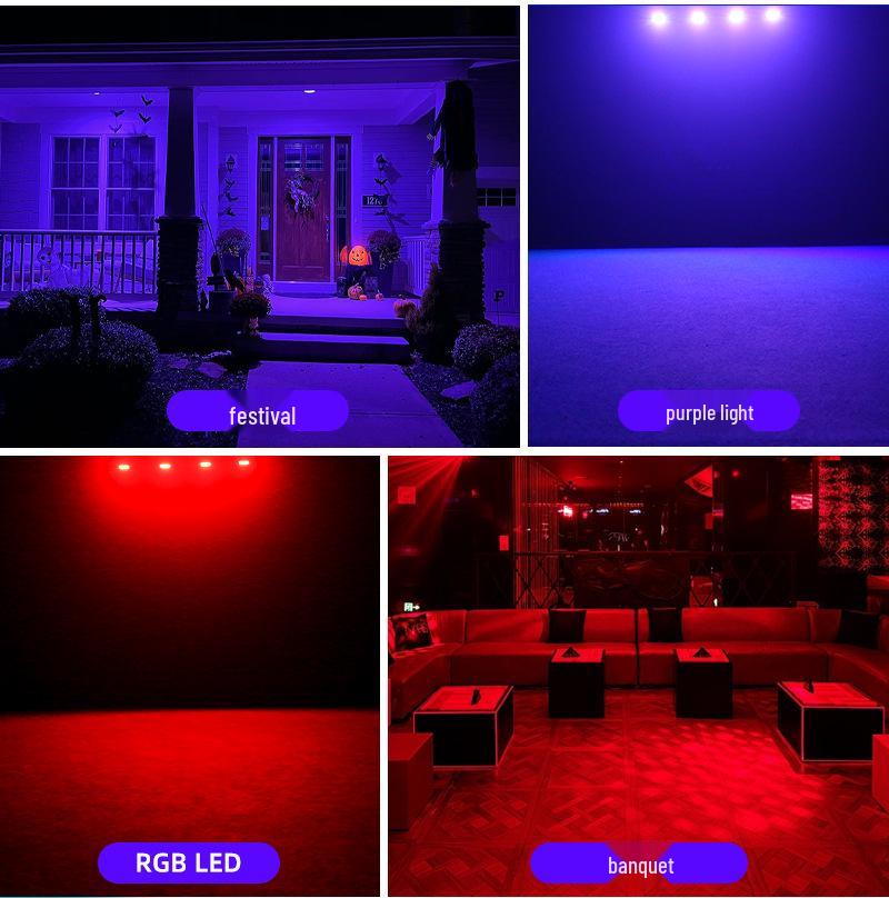 Double Projection Laser Light: Full-Color Animation Christmas, KTV, and Stage Strobe Light with Sound Control
