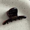 French Style Woman Exquisite Version Gold Label Small Acetate Hair Claws Barrettes Lady Trendy Side Clips Girls Hair Accessories
