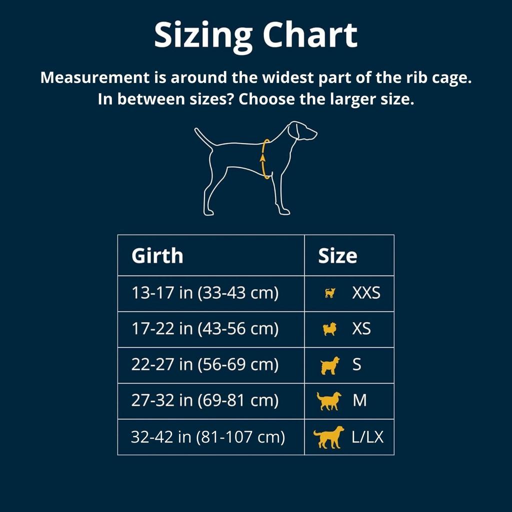 RUFFWEAR Front Range Blaze Harness, Orange, XX-Small