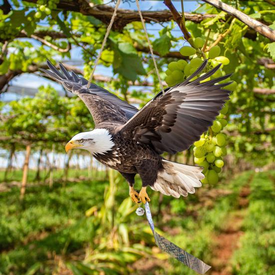 Κρεμαστή Ψεύτικη Κουκουβάγια 2D Επίπεδη Κουκουβάγια Ομοίωμα με Ανακλαστική Ταινία Διακόσμηση Αετού με Κουδούνι για να Απομακρύνει τα Περιστέρια