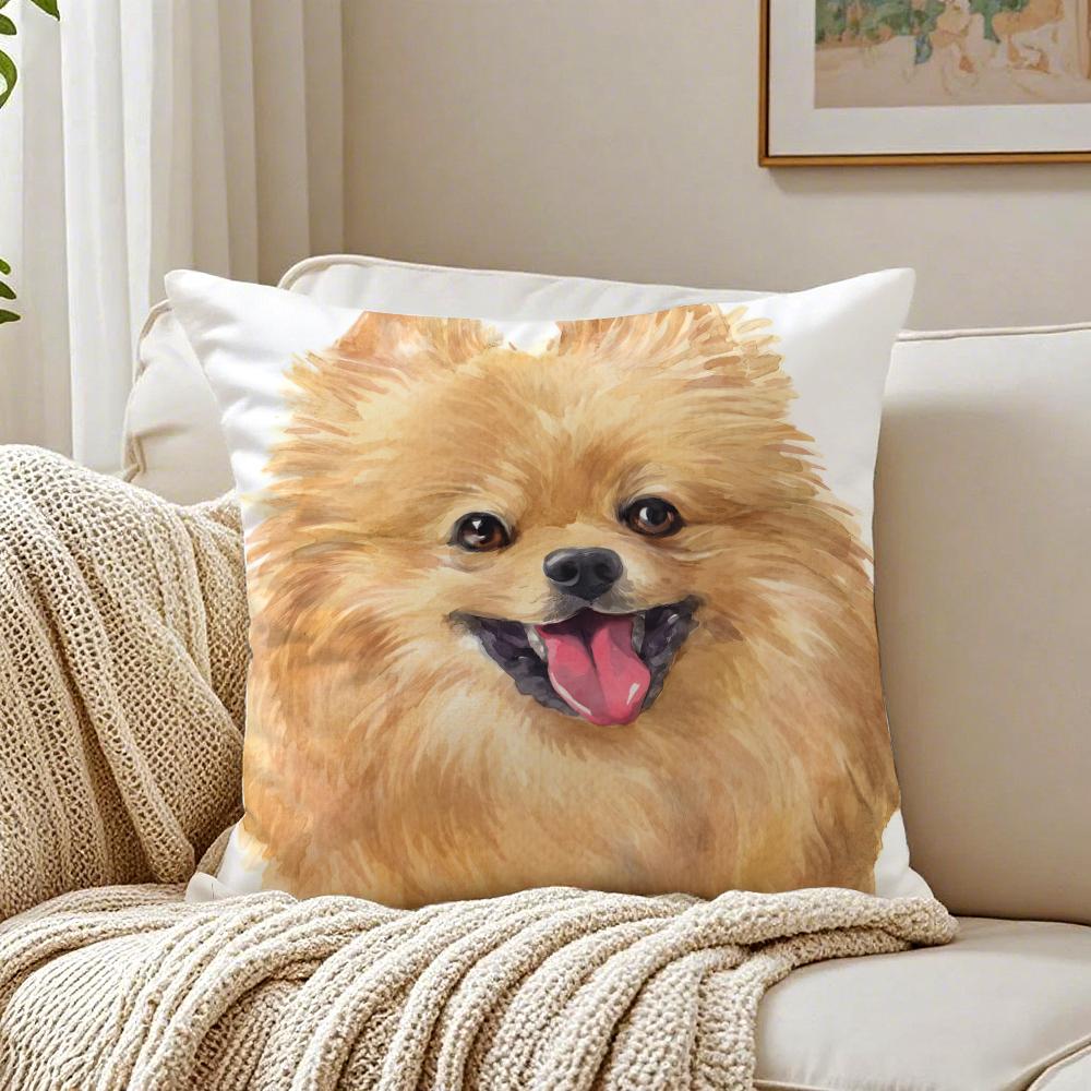 NICE CUTE Pomeranian Dog Cushion Cover Pillowcase Antidustmite Living Room Sofa Decor Cushion Room