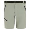Шорты Xert Stretch Wandershorts (RMJ36506Q) Abbeystone Серый/бежевый