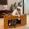 Four Seasons Universal Wear-Resistant Cat Tree: Lint-Free Cat Bed, Scratch Board, and Toy House.