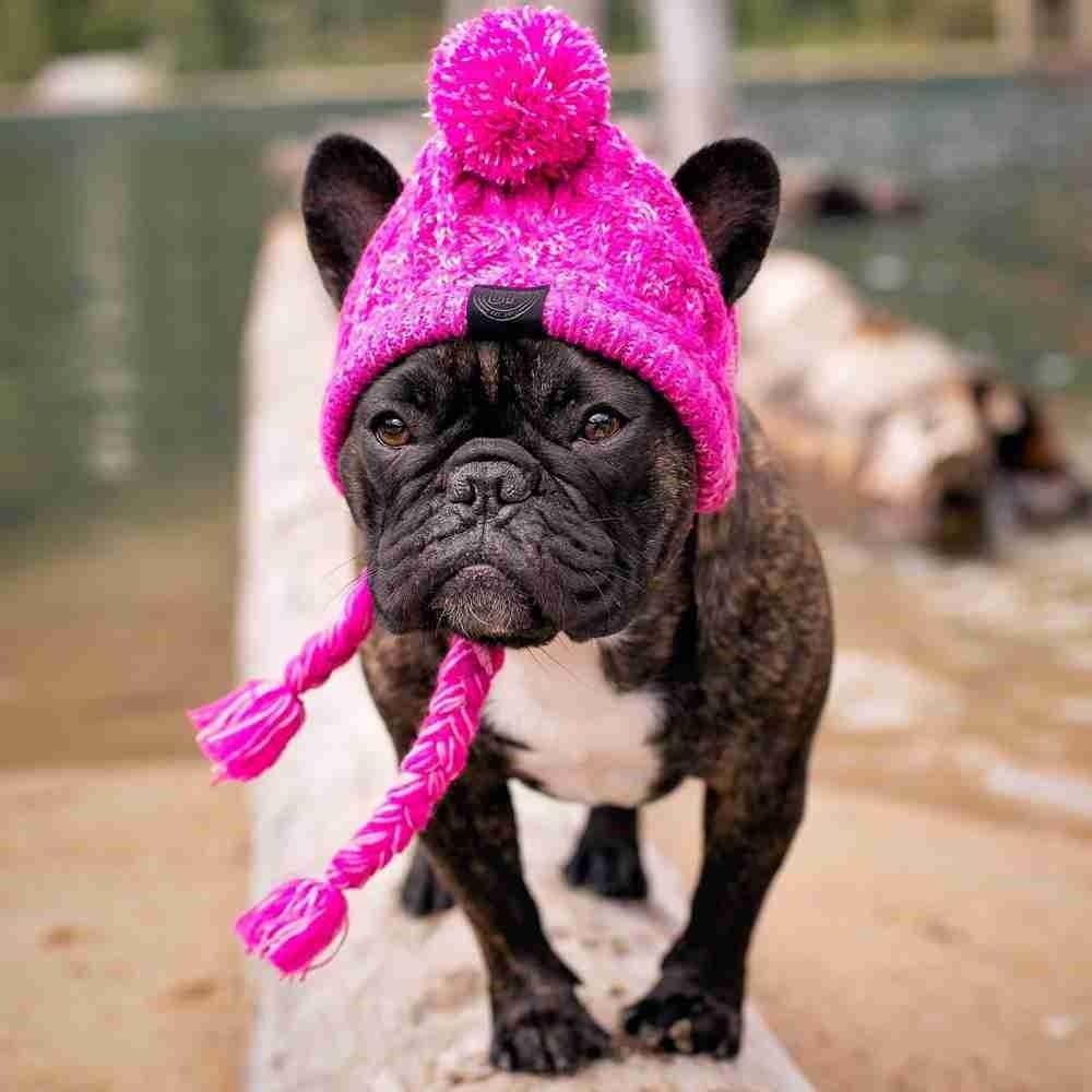 Fashion Warm Earmuffs Drawstring Pet Headgear Dog Ear Muffs Dog Warm Hat Pet Cap