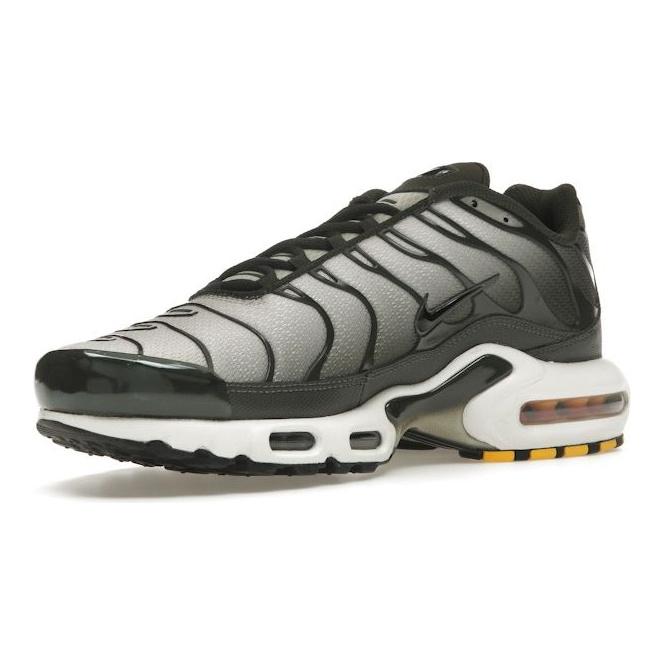 Nike Air Max Plus Sequoia Cargo Khaki Unisex Sneakers Green Light-Bone Black DM0032-300