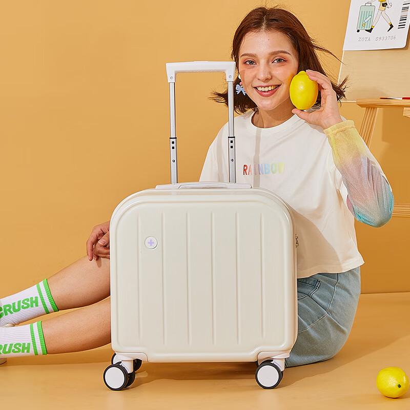 SWEGEAR+ SU15 Universal Wheel Carry-On Luggage