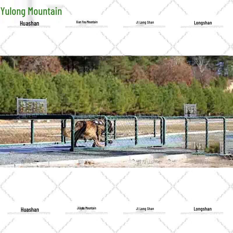 Professional Working Dog Obstacle Course Training Equipment