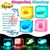 Adults Stress Relief Toys Glow-in-the-Dark Cube Toy, Squeeze Marine Animal Balls Sensory Clear with Luminous Sea Inside Transparent Toy