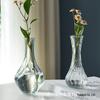 European Light Luxury Relief Glass Vase for Living Room Floral Arrangements - Transparent Hydroponic Ornament