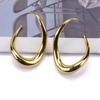 Exaggerated Irregular Alloy Earrings For Women, Trendy European American Style Geometric Metal Niche Fashion Jewelry