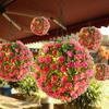 Decorative Lights Grass Ball Green Plant Hanging Decor Artificial Flower Balls  Courtyard Decor